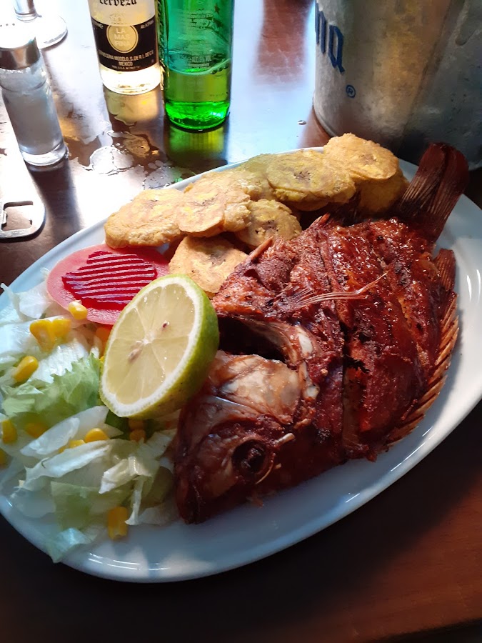 Bar-Cafeteria Jeta
