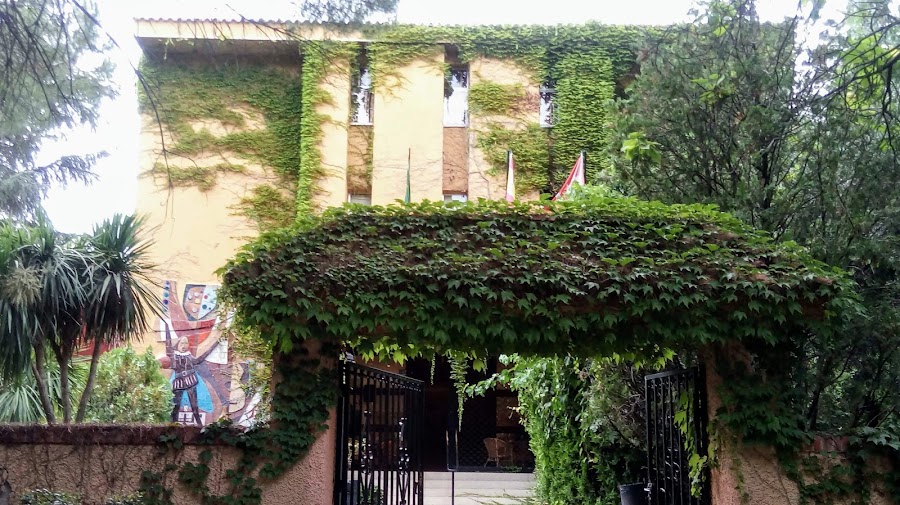 Centro De Mayores